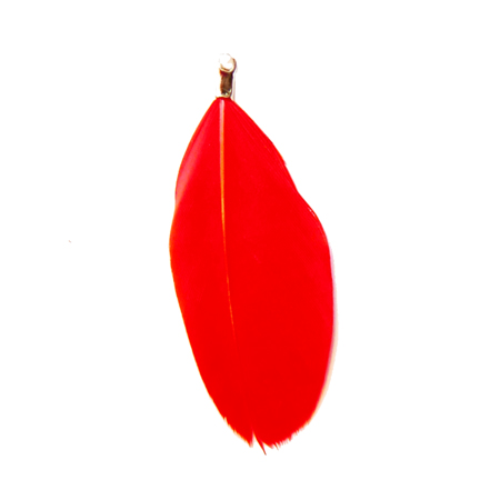 Plume rouge