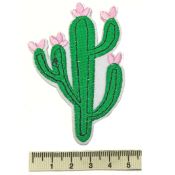 Patch cactus