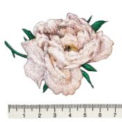 Thermocollant roses