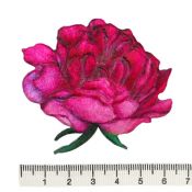 Thermocollant roses