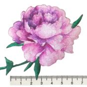 Thermocollant roses